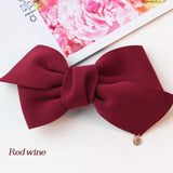 ZN Hair Accessories for Women Hair